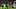 Seattle Sounders