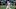St. Louis Cardinals