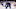 toronto maple leafs toronto maple leafs