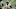 Bears quarterback rumors, Jameis Winston Bears quarterback rumors, Jameis Winston