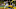 2021 NFL Draft 2021 NFL Draft