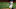 SF Giants News: Top 3 non-roster minor league position players to follow in camp SF Giants News: Top 3 non-roster minor league position players to follow in camp