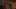 Dying Light Dying Light