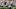 Devin McCourty Patriots Devin McCourty Patriots