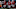 Trezmen Marshall, Texas football Trezmen Marshall, Texas football