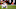 Cleveland Browns Cleveland Browns