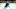 NHL DFS NHL DFS
