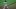 DFS MLB DFS MLB