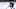 LA Kings Trevor Moore LA Kings Trevor Moore