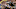 Chicago Bears, Jay Ajayi Chicago Bears, Jay Ajayi
