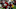 David Johnson Cardinals