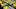 Jan 1, 2015; Pasadena, CA, USA; Detailed view of Oregon Ducks College Football Playoff scarves prior to the 2015 Rose Bowl college football game at Rose Bowl. Mandatory Credit: Kelvin Kuo-USA TODAY Sports Jan 1, 2015; Pasadena, CA, USA; Detailed view of Oregon Ducks College Football Playoff scarves prior to the 2015 Rose Bowl college football game at Rose Bowl. Mandatory Credit: Kelvin Kuo-USA TODAY Sports