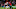 SOUTHAMPTON, ENGLAND – MARCH 07: Yan Valery of Southampton is fouled by Allan Saint-Maximin of Newcastle United during the Premier League match between Southampton FC and Newcastle United at St Mary’s Stadium on March 07, 2020 in Southampton, United Kingdom. (Photo by Charlie Crowhurst/Getty Images) SOUTHAMPTON, ENGLAND – MARCH 07: Yan Valery of Southampton is fouled by Allan Saint-Maximin of Newcastle United during the Premier League match between Southampton FC and Newcastle United at St Mary’s Stadium on March 07, 2020 in Southampton, United Kingdom. (Photo by Charlie Crowhurst/Getty Images)