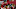 Atlanta Falcons Atlanta Falcons