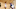 Toronto Raptors Toronto Raptors