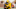 DraftKings CFB DraftKings CFB