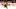 Boston Bruins Boston Bruins