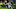 Adrien Rabiot [R] and Jorginho [L]  (Photo by Chris Ricco/Getty Images)