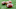 Sep 22, 2012; Madison, WI, USA; Nike footballs sit on the field during the game between the UTEP Miners and Wisconsin Badgers at Camp Randall Stadium. Wisconsin defeated UTEP 37-26. Mandatory Credit: Jeff Hanisch-USA TODAY Sports