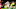 Real Madrid, Dani Ceballos Real Madrid, Dani Ceballos