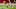 Deandre Hopkins, Arizona Cardinals, NFL Deandre Hopkins, Arizona Cardinals, NFL