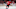 Toronto Maple Leafs Toronto Maple Leafs