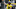 Oregon quarterback Bo Nix throws out a pass as the Oregon Ducks warm up to host Portland State in the Ducks’ season opener Saturday, Sept. 2, 2023, at Autzen Stadium in Eugene, Ore. Oregon quarterback Bo Nix throws out a pass as the Oregon Ducks warm up to host Portland State in the Ducks’ season opener Saturday, Sept. 2, 2023, at Autzen Stadium in Eugene, Ore.