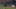 041415_nyy_cameraguy_med_gki8g395 041415_nyy_cameraguy_med_gki8g395