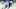 Toronto Maple Leafs Toronto Maple Leafs