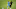 New York City FC New York City FC