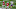 College Football Playoff College Football Playoff