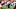 CLEMSON, SC – SEPTEMBER 07: Justin Madubuike #52 of the Texas A&M Aggies in action on defense during a game against the Clemson Tigers at Memorial Stadium on September 7, 2019 in Clemson, South Carolina. Clemson defeated Texas A&M 24-10. (Photo by Joe Robbins/Getty Images) CLEMSON, SC – SEPTEMBER 07: Justin Madubuike #52 of the Texas A&M Aggies in action on defense during a game against the Clemson Tigers at Memorial Stadium on September 7, 2019 in Clemson, South Carolina. Clemson defeated Texas A&M 24-10. (Photo by Joe Robbins/Getty Images)