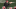 Tom Allen, Indiana, NFL Draft, Outback Bowl Tom Allen, Indiana, NFL Draft, Outback Bowl