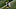 Notre Dame Football. (Photo by Quinn Harris/Getty Images) Notre Dame Football. (Photo by Quinn Harris/Getty Images)