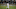 (Photo by Jeff Gross/Getty Images) – Los Angeles Dodgers