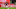 Milan, Ismael Bennacer Milan, Ismael Bennacer
