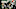 Atlanta Falcons