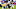 Chicago Bears, Tarik Cohen Chicago Bears, Tarik Cohen
