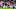 Moussa Djenepo of Southampton (Photo by James Williamson – AMA/Getty Images)