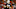 auburn football auburn football