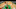 DraftKings NBA