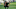 NAPA, CALIFORNIA – SEPTEMBER 29: Collin Morikawa lines up a putt on the 18th green during the final round of the Safeway Open at the Silverado Resort on September 29, 2019 in Napa, California. (Photo by Daniel Shirey/Getty Images) NAPA, CALIFORNIA – SEPTEMBER 29: Collin Morikawa lines up a putt on the 18th green during the final round of the Safeway Open at the Silverado Resort on September 29, 2019 in Napa, California. (Photo by Daniel Shirey/Getty Images)