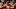 DENVER, CO – AUGUST 31: Tight end Steven Scheu