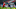 Arsenal Arsenal