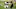 Jesse Johnson-USA TODAY Sports Jesse Johnson-USA TODAY Sports