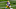 LSU Tigers wide receiver Terrace Marshall Jr. (6) – Mandatory Credit: Jay Biggerstaff-USA TODAY Sports