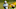 WM Phoenix Open, Phoenix Open, TPC Scottsdale, PGA Tour, FedEx Cup, Rory McIlroy