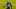 Carolina Panthers Carolina Panthers