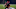 Philadelphia Eagles Philadelphia Eagles