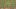 screen-shot-2016-12-28-at-3-03-37-pm screen-shot-2016-12-28-at-3-03-37-pm